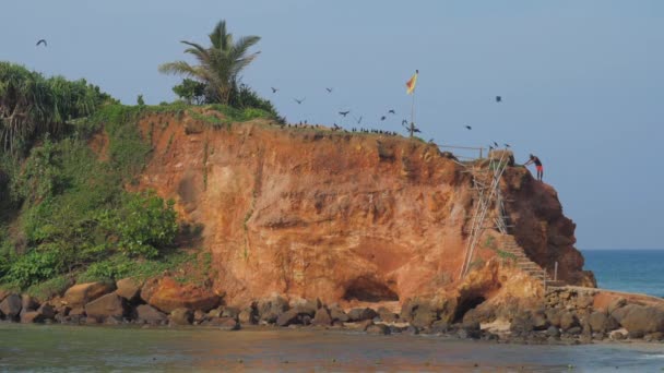 Las aves vuelan en bandada y el hombre está parado en la roca vieja en la costa del océano — Vídeo de stock