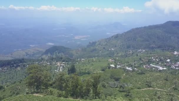 町近くの山の斜面にある茶畑と森林 — ストック動画