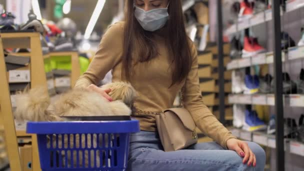 Señora de pelo largo mascotas perro peludo marrón en la cesta de la compra — Vídeos de Stock