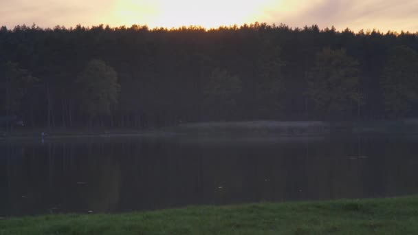 Brillante luz del sol de la mañana en el cielo naranja sobre bosque denso — Vídeo de stock