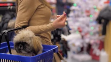 Uzun saçlı bayan elinde küçük bir köpekle dükkanda dolaşıyor.