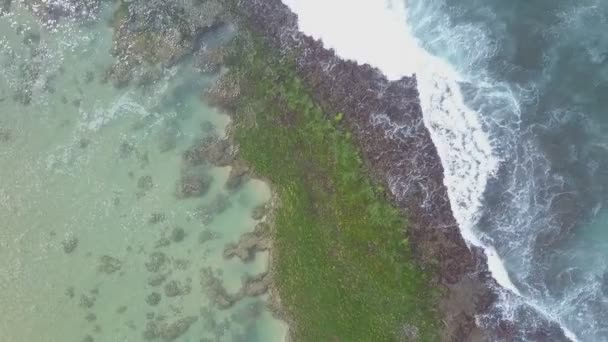 Óceánhullám fehér hab borítja zöld fenék hínár. — Stock videók