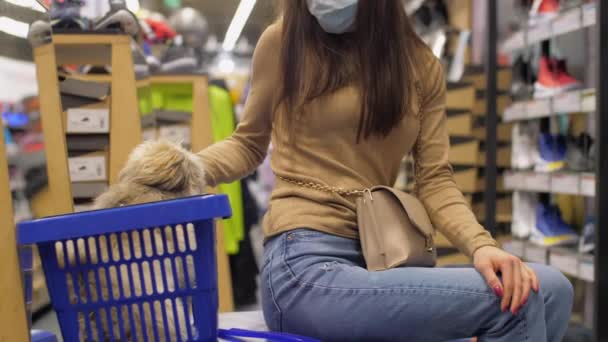 Långhåriga dam husdjur brun lurviga hund i varukorgen — Stockvideo