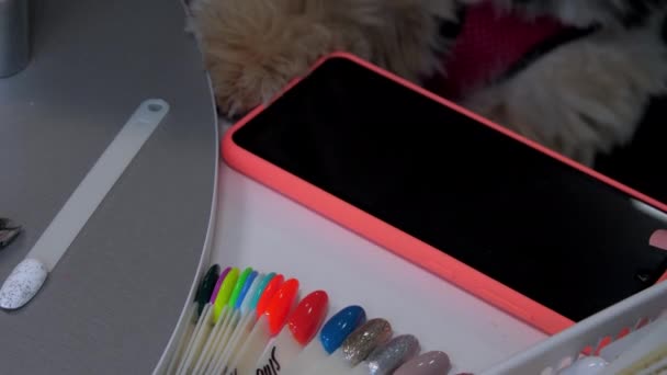 Różne kolorowe próbki paznokci leżą na stole — Wideo stockowe