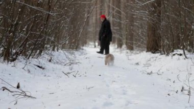 Komik köpek karlı yolda gezinen yaşlı adama koşar.
