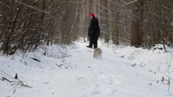 Funny dog runs to senior man wandering along snowy road — Stock Video
