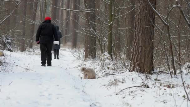 Funny dog runs to senior man wandering along snowy road — Stock Video