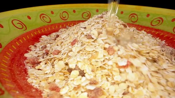 Kochendes Wasser in gelb-rote Schüssel mit Haferflocken gegossen — Stockvideo