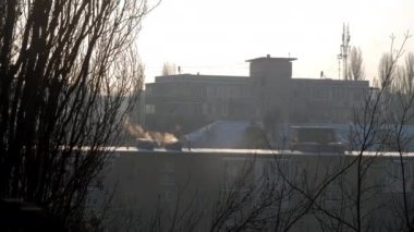 Şehir binaları çıplak ağaçların arkasında parlak güneş ışığı altında