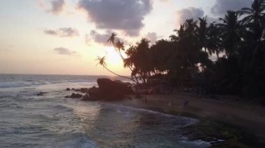 çeşitli turistler kum plajlarında palmiye ağaçlarıyla dolaşıyorlar.