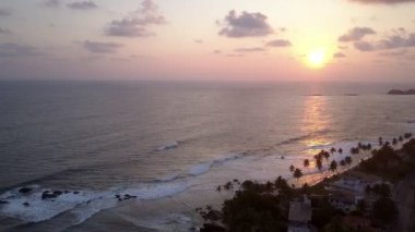 Okyanus dalgaları, palmiye ağaçlarıyla kumlu kıyılarda dalgalanır.