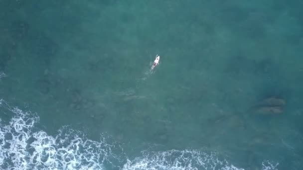 Профессиональный серфер плавает по океанской воде и ловит волну — стоковое видео