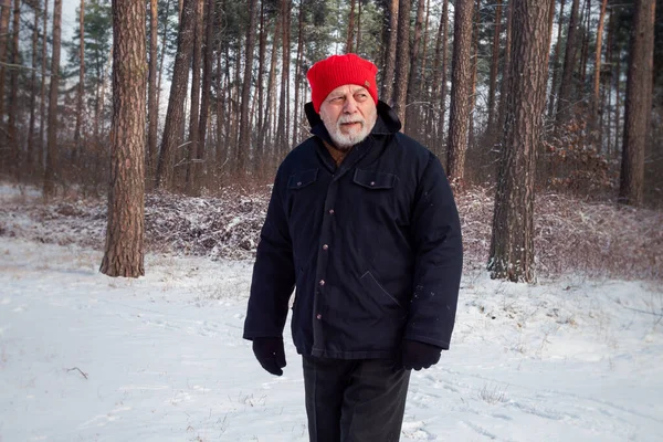 Kırmızı şapkalı sakallı emekli orman yolunda yürüyor. — Stok fotoğraf