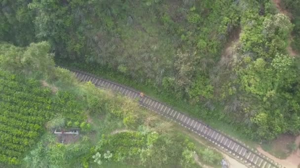 Trabalhador carrega saco ao longo Demodara Nine Arches trem ponte — Vídeo de Stock