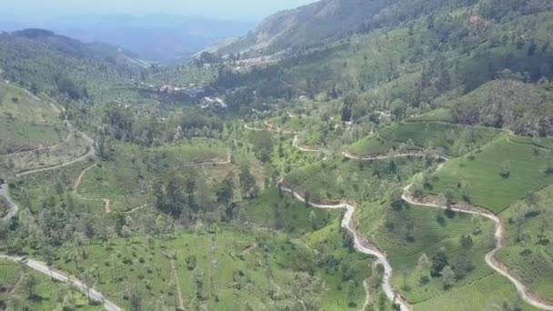 Piantagioni di tè e strade rurali vuote nella pittoresca valle — Video Stock