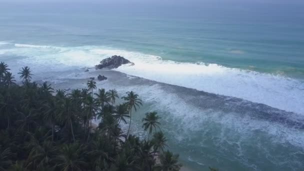 Голубой океан с белой пеной на береговой линии с пальмами — стоковое видео