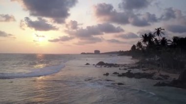 Büyük palmiye ağaçları ve siluetleri olan bir ada.