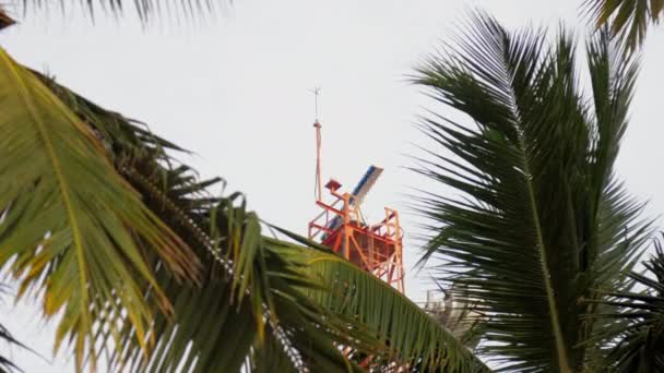 Meteorologisch stationszicht door palmbladeren — Stockvideo