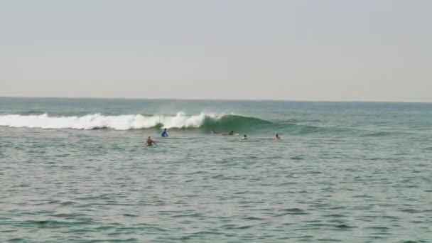 Surfere hold sejl bestyrelser langs azurblå hav med bølger – Stock-video