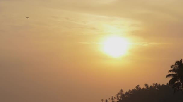 Heldere zon in de avondlucht en silhouetten van palmbomen — Stockvideo