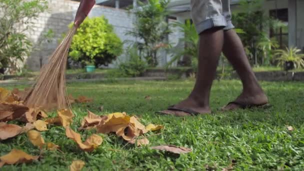 Ung man håller handgjorda kvast och sopar grön gräsmatta — Stockvideo