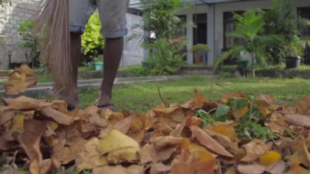 Jeune homme en tongs tient un balai et nettoie les feuilles — Video