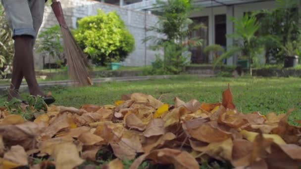 Jeune homme en tongs tient un balai et nettoie les feuilles — Video