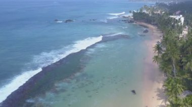 Palmiye ağaçları ve okyanus arasındaki sarı kumlu kıyı şeridi