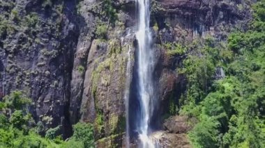 Diyaluma yeşil ormandaki sarp kayalıklara düştü.