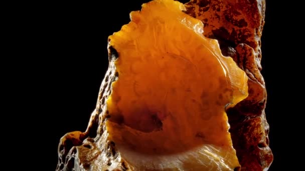 Крупные части сломанного натурального желтого янтарного камня вращаются — стоковое видео