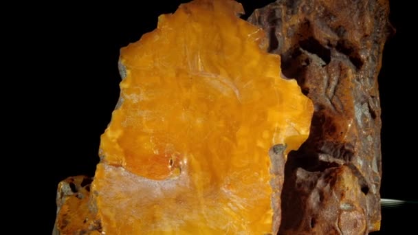 Piezas de piedra ámbar amarillo transparente con suciedad marrón — Vídeos de Stock