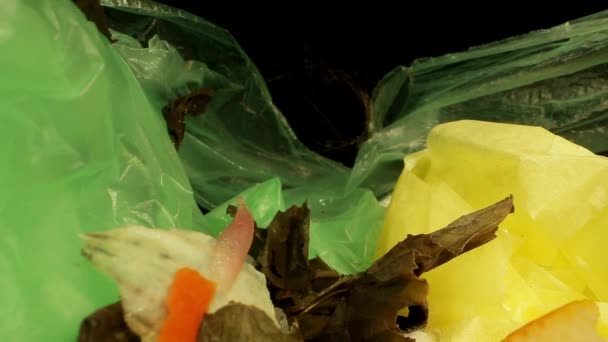 Papier plastic en organisch afval in wegwerpzak — Stockvideo