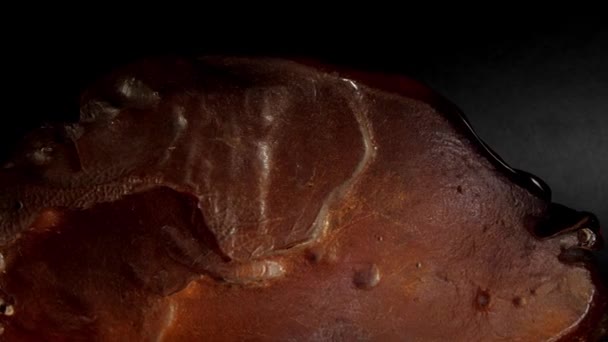 Terracotta κεχριμπάρι πολύτιμος λίθος με γυαλισμένη πλευρά περιστρέφεται — Αρχείο Βίντεο