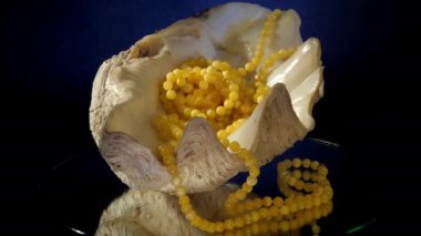 Küçük boncuklu beyaz kehribar aksesuar örnekleri yalan.