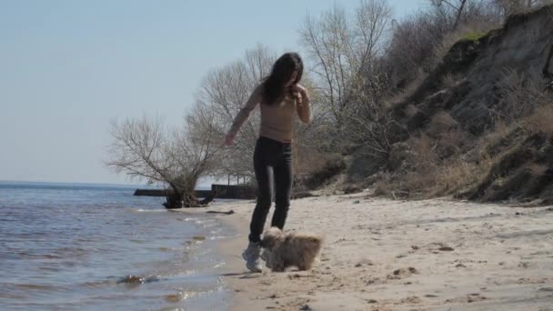 Saçları dökülmüş, gülümseyen genç bir kadın Shih Tzu köpeğiyle zıplıyor. — Stok video