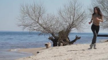Süveterli bayan, küçük Shih tzu köpeğiyle kumların üzerinde oynuyor.