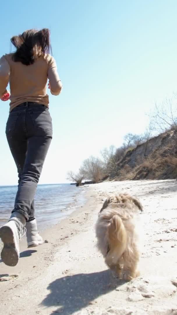 Mujer joven corre con el perro Shih tzu a lo largo de la playa de arena de mar en primavera — Vídeos de Stock