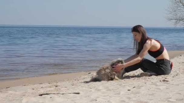 Brune aux cheveux longs en haut et jeans animaux Shih tzu chien — Video