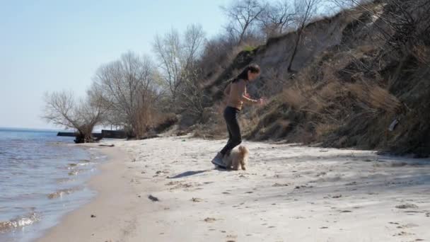 Zevkli Shih tzu köpek sahibi bayan sahilde hayvanlarla oynuyor. — Stok video