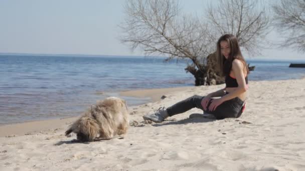 Morena en la parte superior y jeans se sienta en la playa de arena de mar con perro — Vídeo de stock