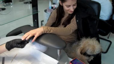 Uzun saçlı, tüylü köpekli kadın akıllı telefona bakar.