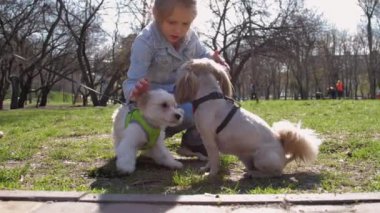 Uzun saçlı liseli kız. Evcil köpekleri var.