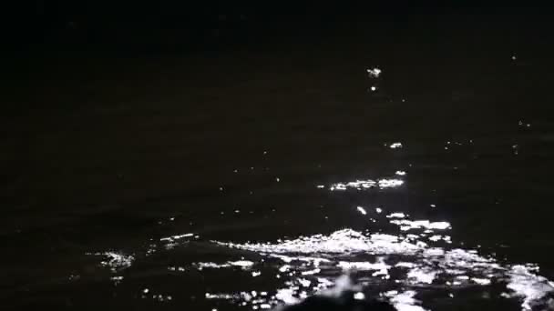 Waves swaying in the moonlight — Stock Video