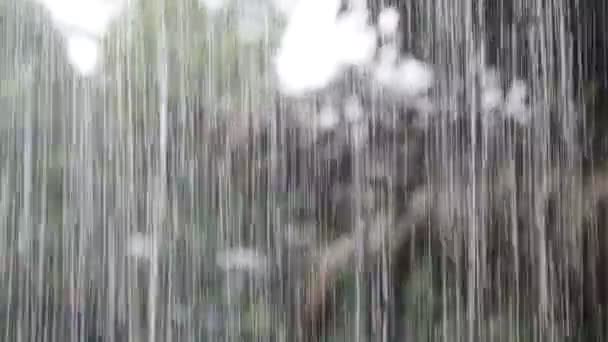 Regn i tropikerna — Stockvideo