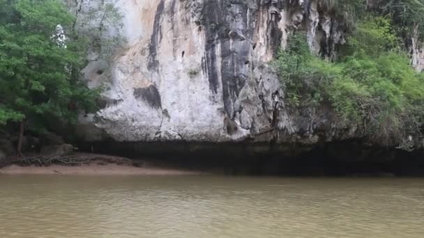 Boat floats on the river of mangroves — Stock Video