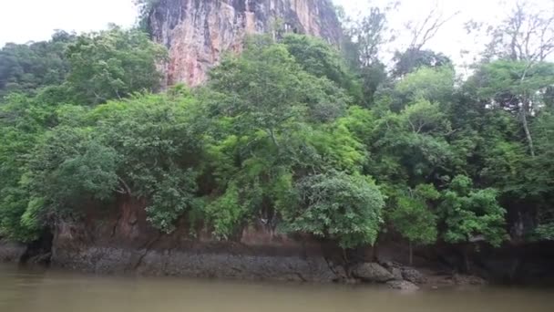 Tekne mangroves nehirde yüzüyor. — Stok video