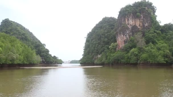 La barca galleggia sul fiume delle mangrovie — Video Stock