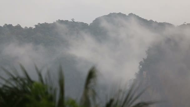 Wolken schweben über tropischen Bergen — Stockvideo