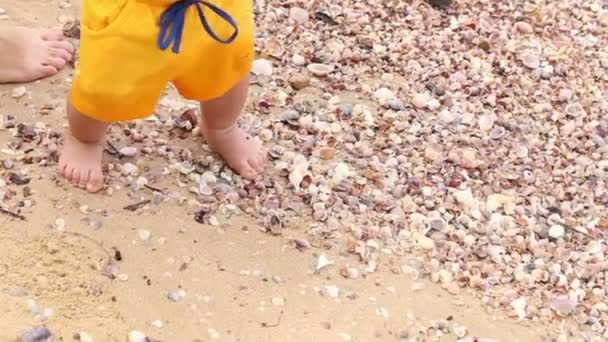 Niño levanta la cáscara sosteniendo la mano de madre — Vídeo de stock