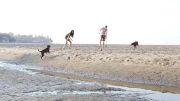 Homme et femme préhistoriques jouant avec des chiens — Video